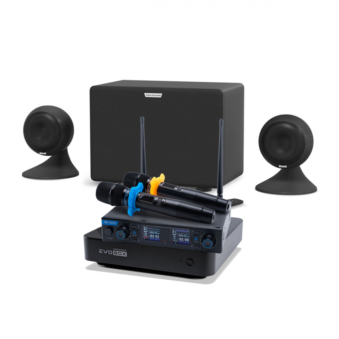 караоке-комплект EVOBOX + EvoSound Sphere 2.1 в Кемерово