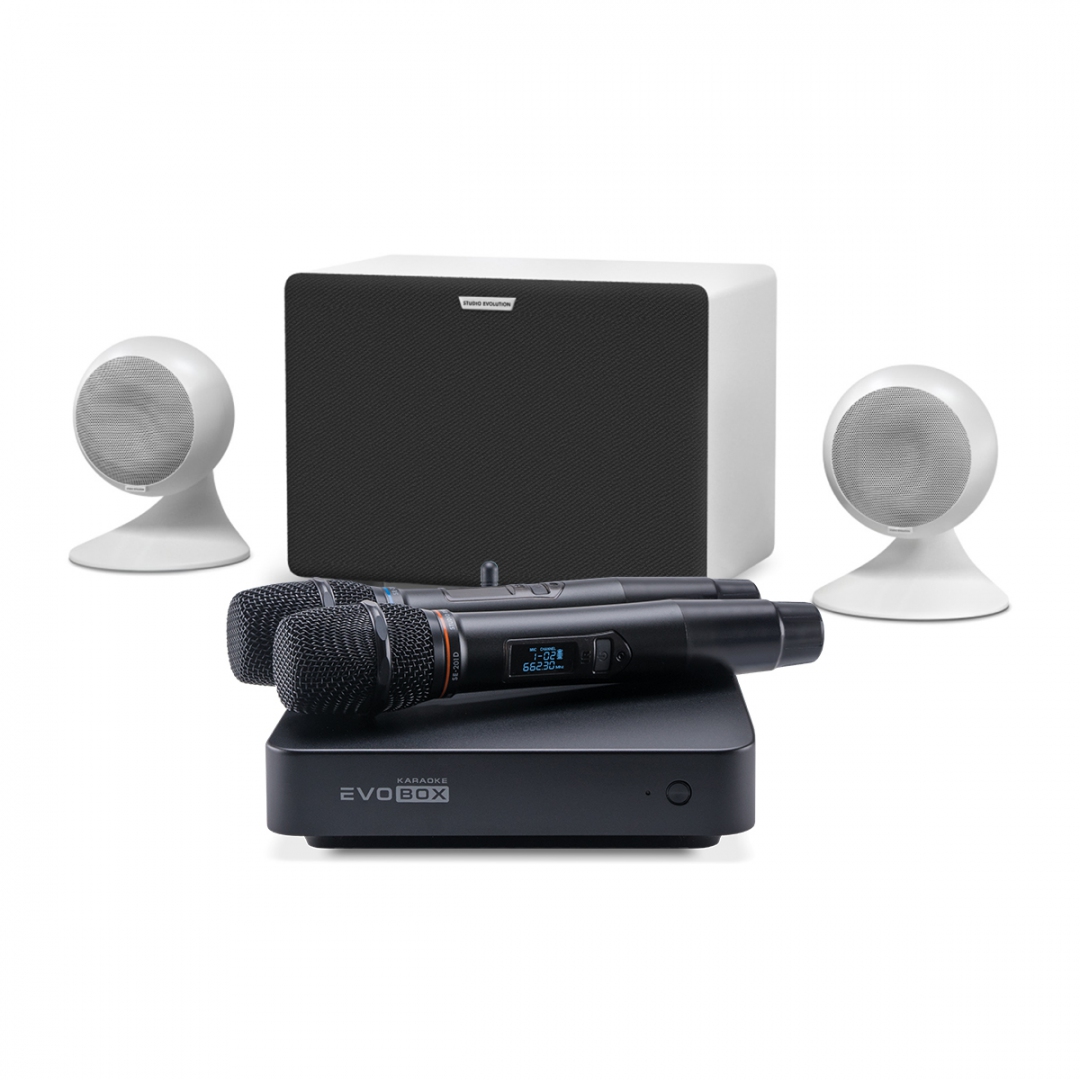 караоке-комплект EVOBOX Classic + EvoSound Sphere 2.1 в Кемерово