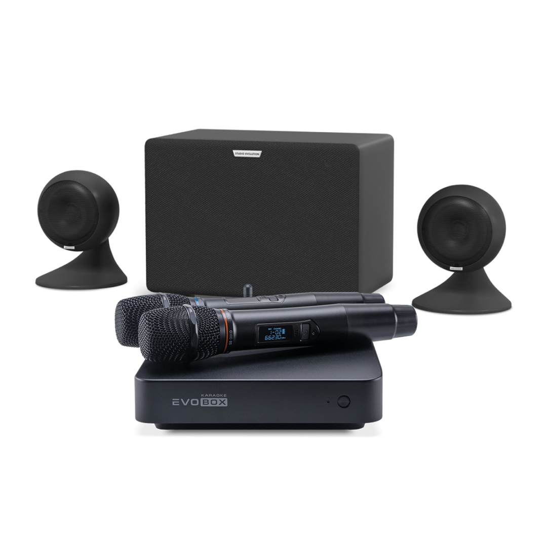 караоке-комплект EVOBOX Plus + EvoSound Sphere 2.1 в Кемерово