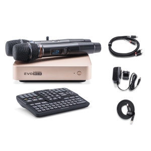 EVOBOX Classic караоке-система для дома в Кемерово