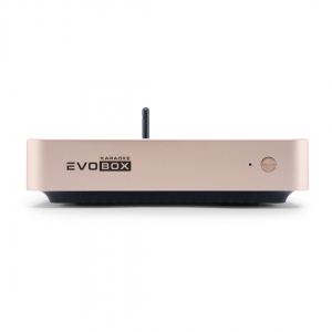 EVOBOX Plus караоке-система для дома в Кемерово