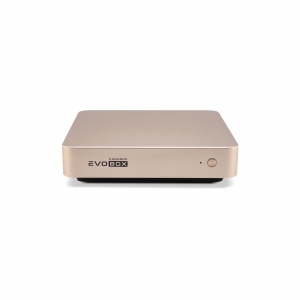 EVOBOX с микрофонами в Кемерово